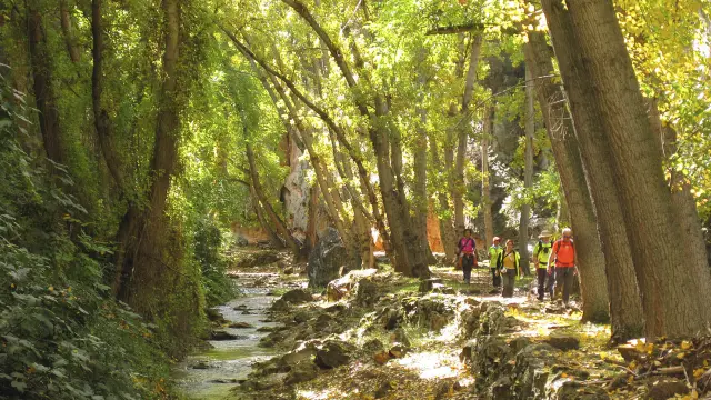 Senderistas junto al río Mesa, entre Calmarza y Jaraba (GR 24).