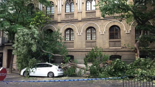 La mitad de un árbol se desploma sobre un taxi en la plaza de Salamero.