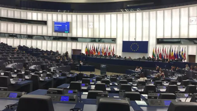 El Parlamento Europeo presentaba este aspecto en el pleno del martes