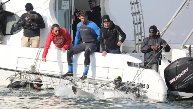 Michael Phelps se enfrenta al gran tiburón blanco