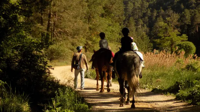 Niños en un paseo a caballo.