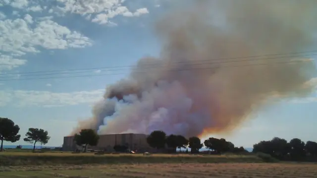 La columna de humo es visible desde varios kilómetros de distancia.
