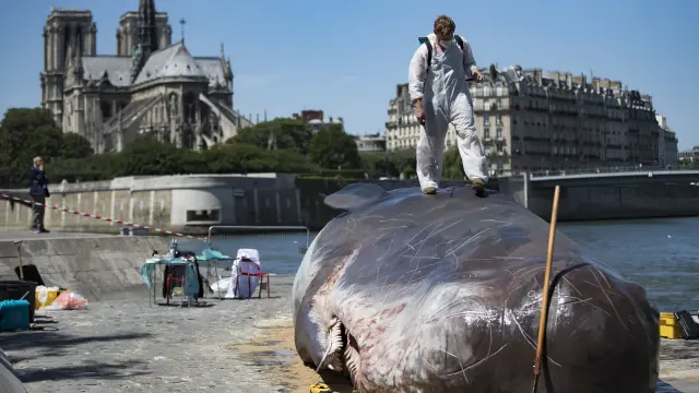 El grupo 'Captain Broomer', colocando la ballena en París