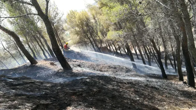 Zona afectada por el incendio en Burbáguena.