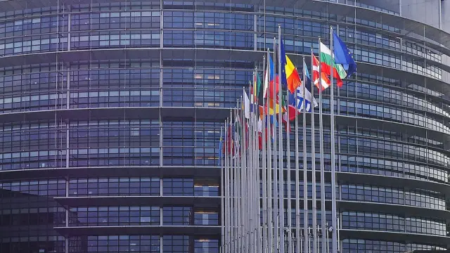El pleno del Parlamento Europeo reclamó este jueves en una resolución pactada por varios grupos políticos del hemiciclo la ilegalización.
