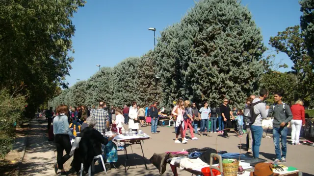 La III edición congregó en el parque José Antonio Labordeta a 300 personas.
