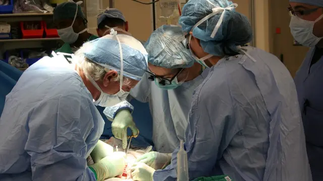 La donación de 48 personas permitió realizar 99 trasplantes en Aragón en 2018