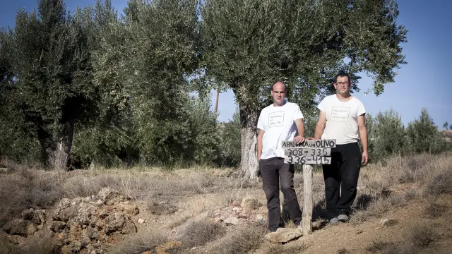 David Pradas y José Manuel Candial, en una de las parcelas rescatadas por Apadrina Un Olivo. laura uranga Vista de Oliete.