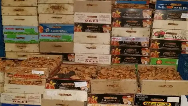 Iban en cajas usadas con restos de etiquetas identificativas pertenecientes a otro tipo de alimentos.