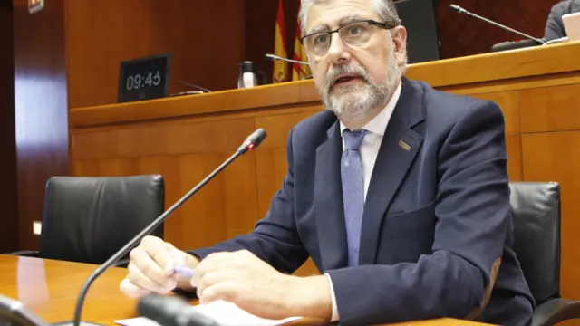 El rector de la Universidad de Zaragoza, durante su intervención en las Cortes.