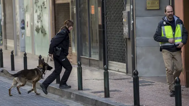 Una agente de la Unidad Canina se dirige con su perro policía a inspeccionar el envío sospechoso a la calle de Amar y Borbón.