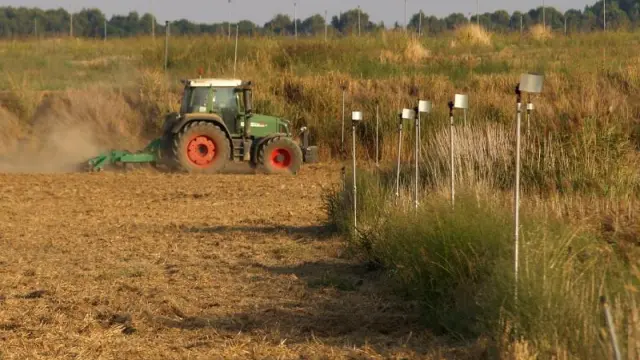 Trabajos de labranza en una explotación de Huesca para preparar la tierra para la siembra de cereal.