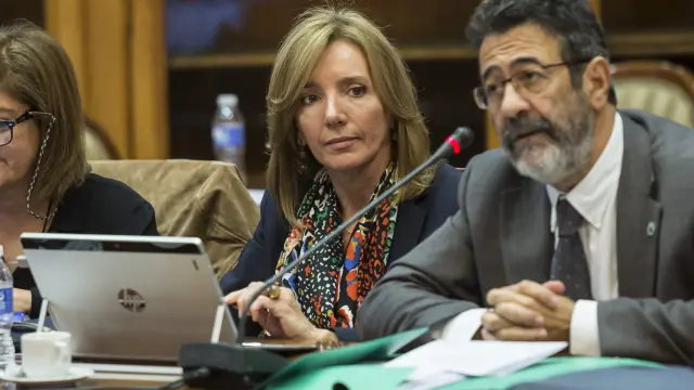 La vicerrectora de Economía, Margarita Labrador, presenta los presupuestos de la Universidad de Zaragoza en el Consejo de Gobierno.