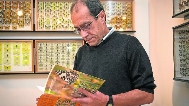 Alfonso Corraleño, autor de la guía de las mariposas diurnas de la Comunidad de Calatayud.