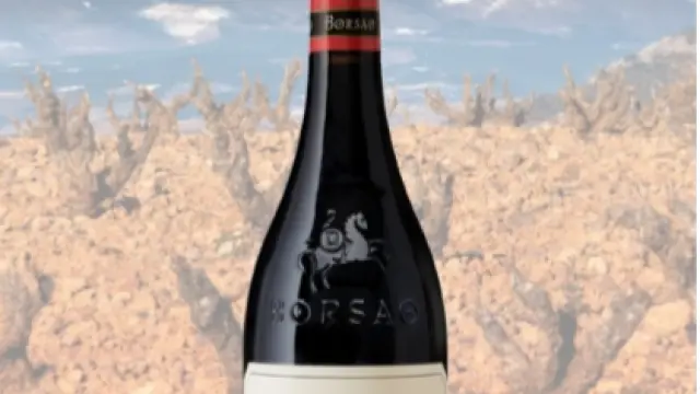 Un caldo aragonés, mejor vino del año según la Asociación de Periodistas y Escritores de Vino