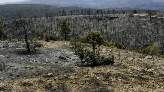 Imagen tomada en 2009 tras el incendio que devastó 12.000 hectáreas en Ejulve.