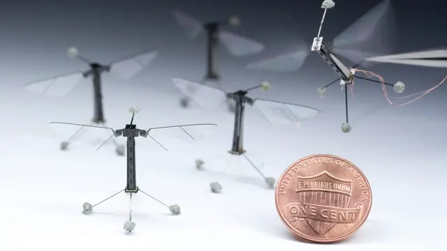 Pequeños 'robobees', de apenas 80 miligramos de peso, desarrollados en Harvard