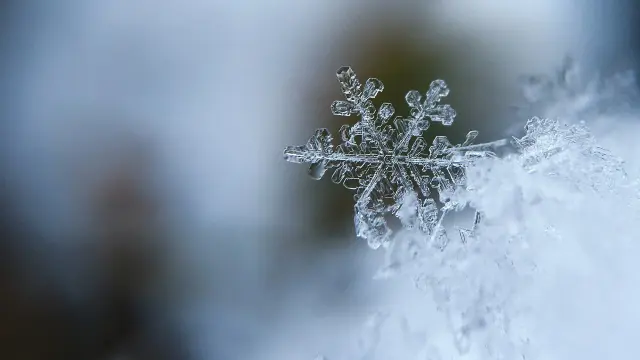 Cristales de nieve vistos con una lente.