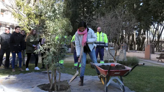 Laura Zúñiga ayuda a plantar un árbol en el parque Migue Servet, junto al aula que lleva el nombre de su madre.