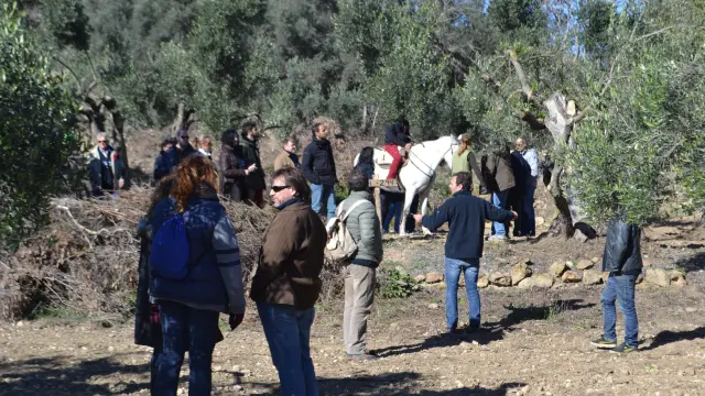 Un grupo de personas, en las jornadas para apadrinar olivos.