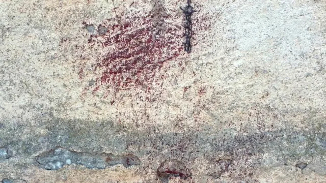 Restos de sangre en la pared de las heridas causadas en las patas del animal