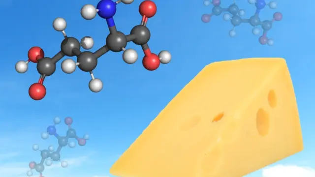 Descubre a la moleculica responsable del quinto sabor