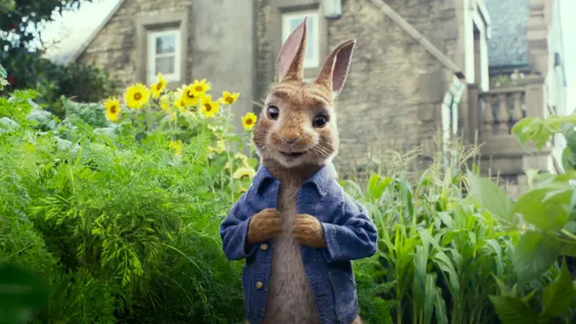 En la versión española, Dani Rovira da voz a Peter Rabbit.