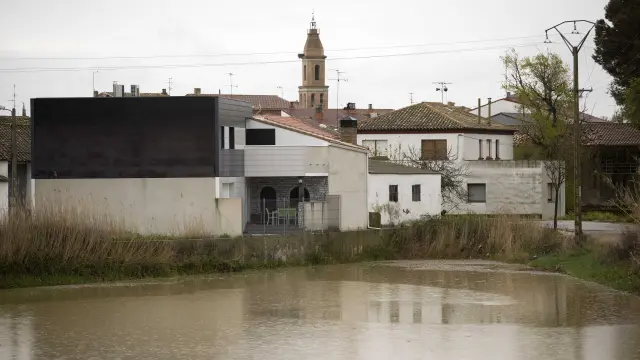Crecida del Ebro a su paso por Pina de Ebro