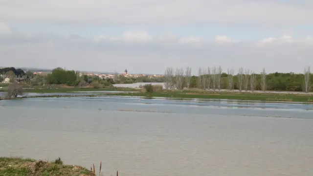 El Ebro, a su paso por El Burgo de Ebro este sábado por la mañana.