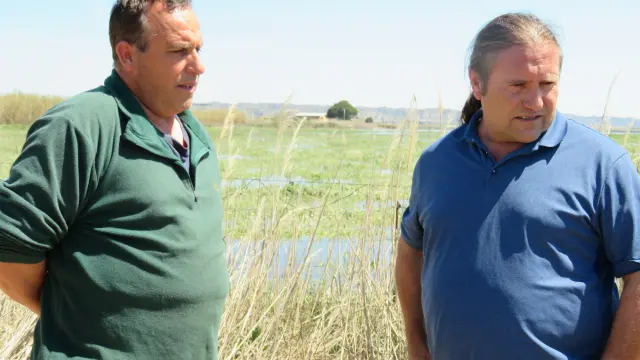 El secretario general de UAGA, José Manuel Penella (d), con un agricultor afectado de la zona de Alfajarín, este martes.