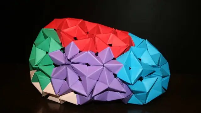 Cerebro de origami plegado colectivamente con el Grupo Zaragozano de Papiroflexia durante las jornadas 'Comunicar la neurociencia'