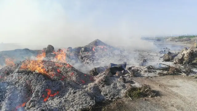 Incendio en un vertedero de La Muela.