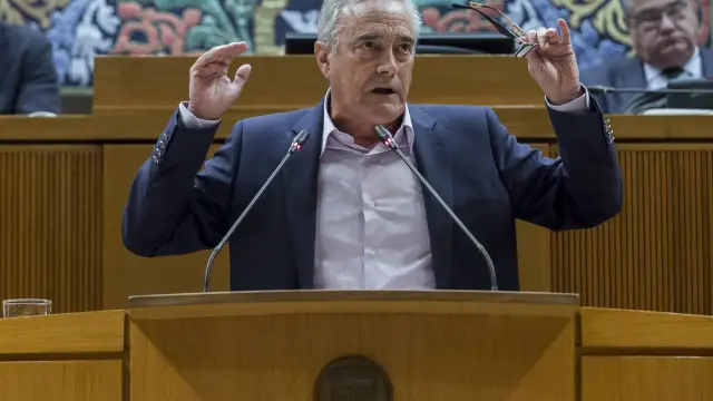 Luis Sada, portavoz del PSOE en las Cortes de Aragón.