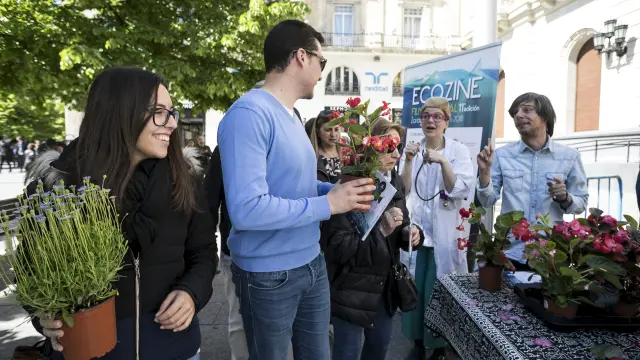 La organización del festival Ecozine ha repartido flores este miércoles en la plaza de España de Zaragoza.