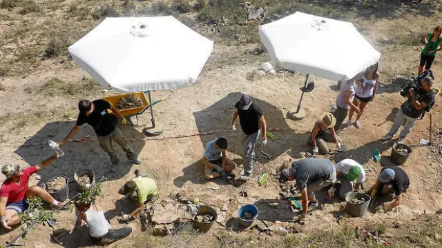 Excavaciones realizadas en yacimientos de El Castellar.