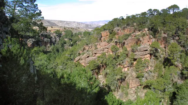 Los cicloturistas visitarán los pinares de rodeno de Albarracín.