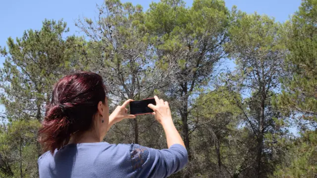 Una vigilante de los bosques hace una fotografía para subirla a la app de Alerta Forestal
