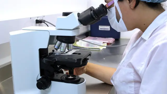 La investigación está siendo desarrollada por el Centro de Investigación Biomédica de La Rioja.