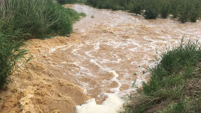 Los campos particulares han sufrido los estragos de la lluvia en Esplús.