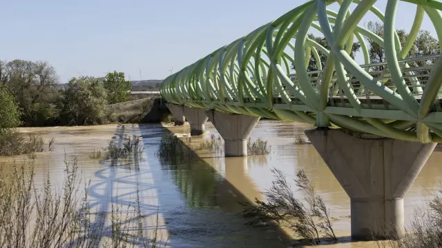 Crecida del Ebro a su paso por el puente del Bicentenario.