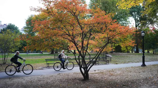 A partir de ahora, los semáforos regularán las bicicletas que circulen por el parque.