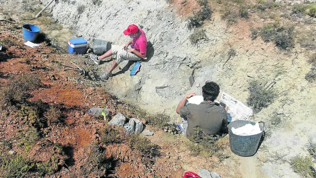 Paleontólogos, en las excavaciones en el yacimiento de Las Zabacheras, en Galve.