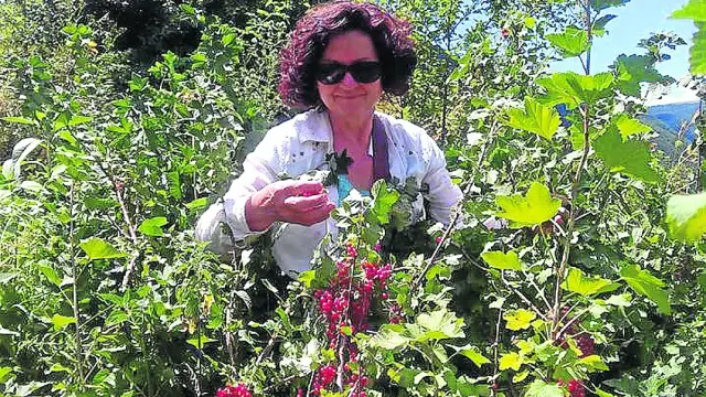 Angelines Briceño en plena tarea de recolección de frutos silvestres.