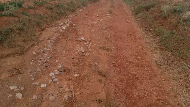 Estado en el que se encuentran los caminos de acceso a las fincas de Villarroya del Campo.