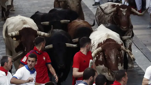 Los toros de la ganadería gaditana Fuente Ymbro suben la cuesta de Santo Domingo