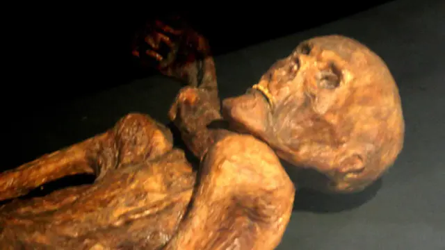 La momia de Otzi fue descubierta en los Alpes italianos por dos turistas alemanes en 1991.