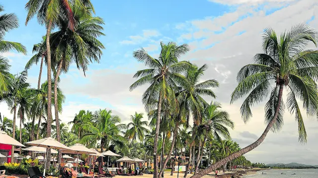 Una de las playas de las islas Fiji, con sus famosas palmeras.