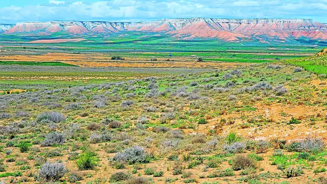 El paisaje estepario de la reserva ornitológica del Planerón, junto a Belchite.