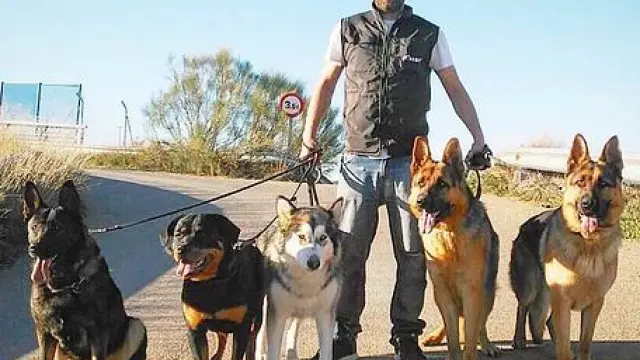 Javier de Vera es adiestrador y educador canino.