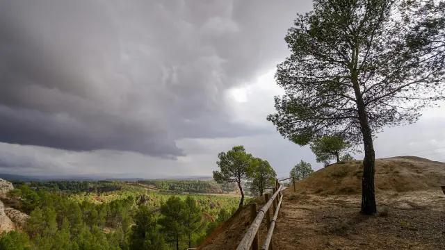 El parque de las Arcillas de Teruel, repoblado con pinos.